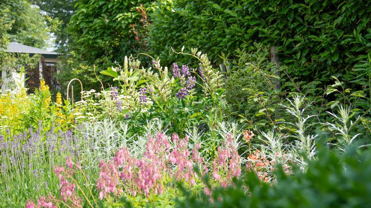 De Anselier Bed and Breakfast Ansen Eksteriør billede